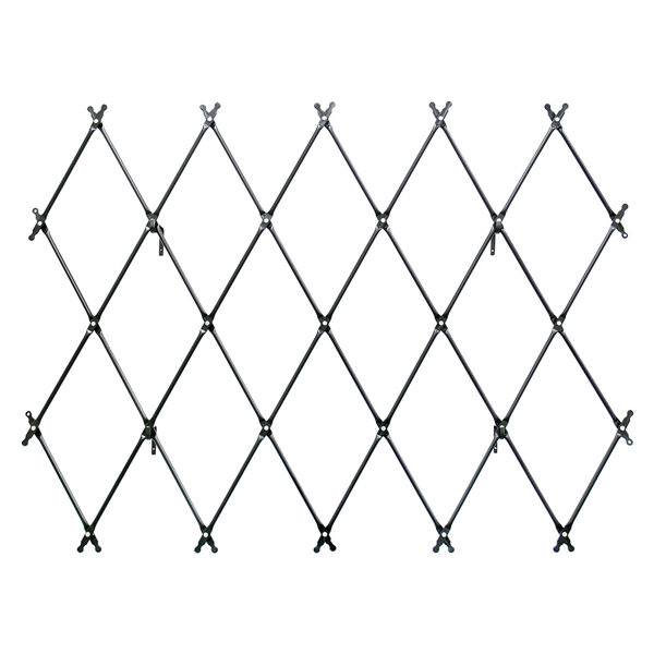 Ebern Designs Hatwell 43'' H x 67'' W Steel Expanding Trellis & Reviews